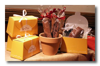 �Ă��َq�摜